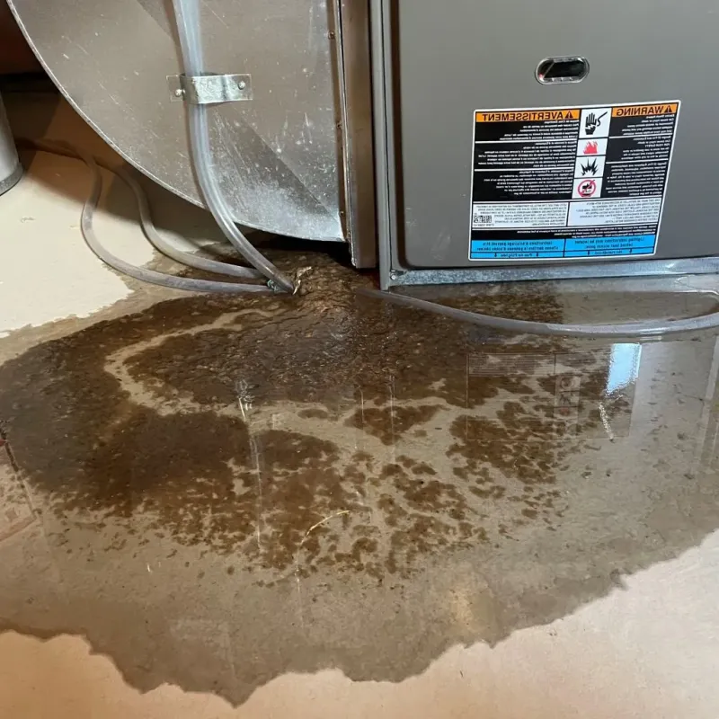 Pipe Burst and Leak Restoration in Booneville, KY