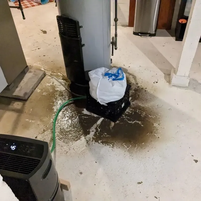 Sewage Backup Cleanup Service in Booneville, KY